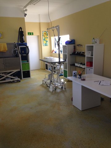 salon1